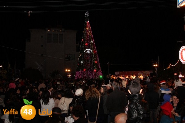 tree light 1208 (140).JPG